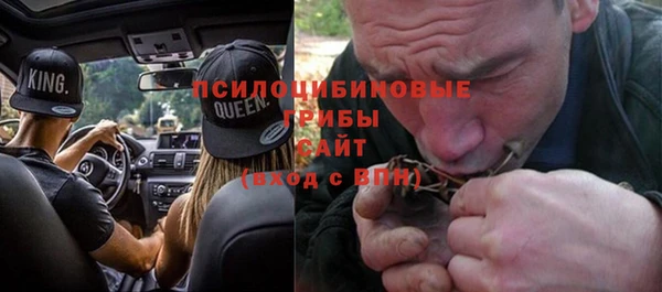 трава Алексин