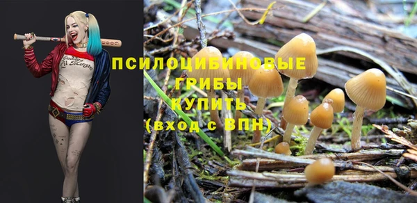 трава Алексин